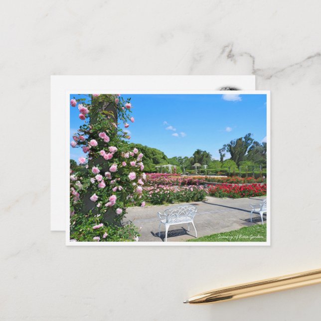 Scenery of Rose Garden Postcard (Front/Back In Situ)