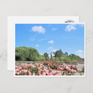Scenery of Rose Garden Postcard
