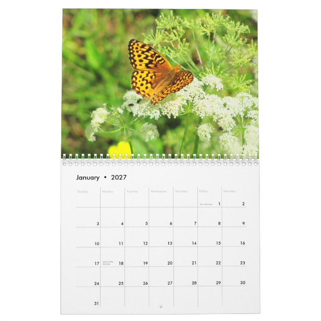 Scenes From A Flower Garden Calendar (Jan 2027)