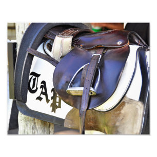 Scenes from Saratoga Photo Print