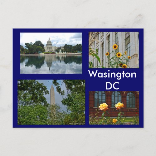 Scenes from Washington DC Postcard