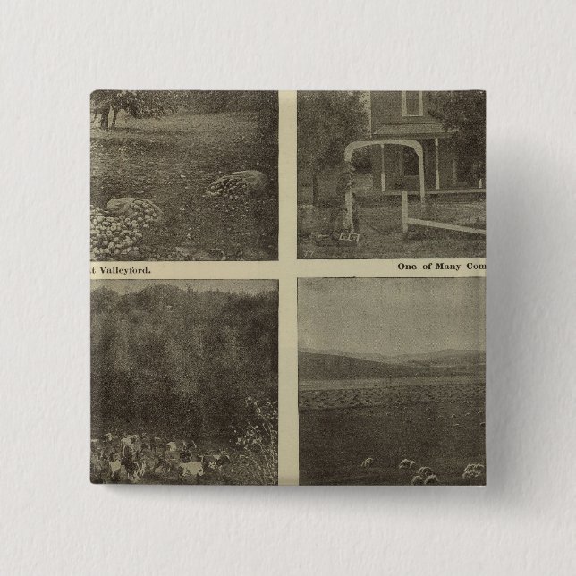 Scenes Inland Empire Pinback Button (Front)