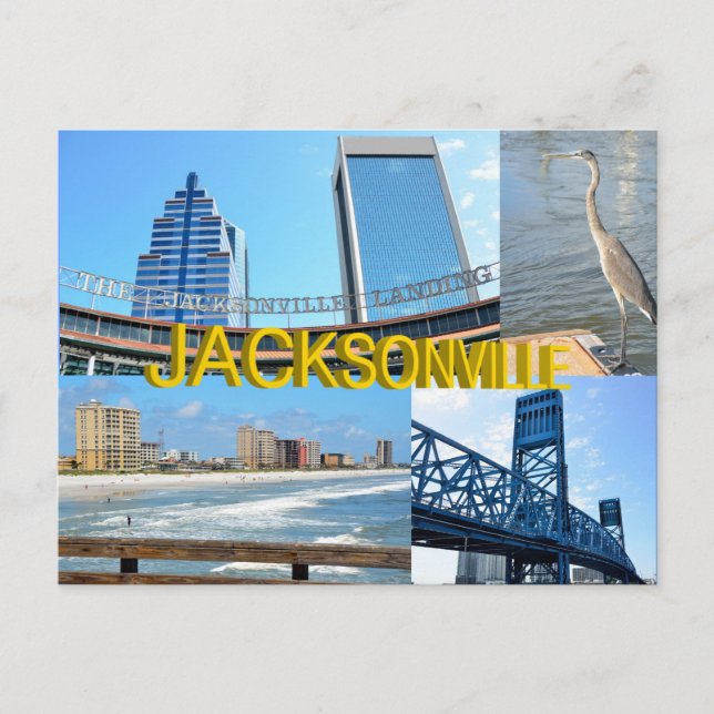 Scenes of Jacksonville, Florida Postcard (Front)