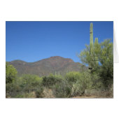 Scenic Apache Trail (Front Horizontal)