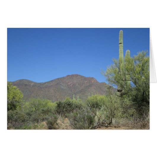 Scenic Apache Trail (Front Horizontal)