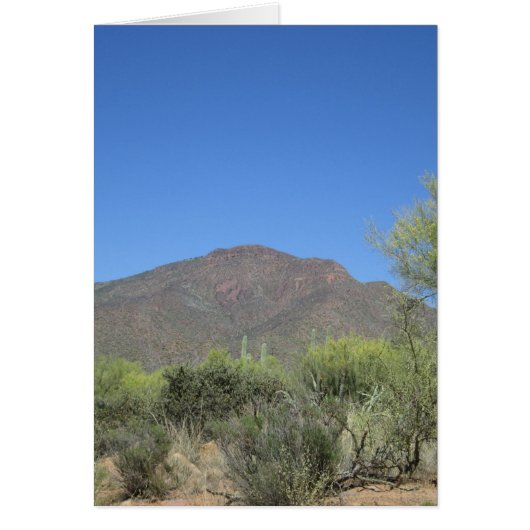 Scenic Apache Trail Cards (Front)