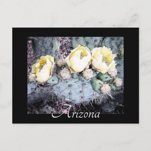 Scenic Arizona Cactus Flower Digital Ink Postcard