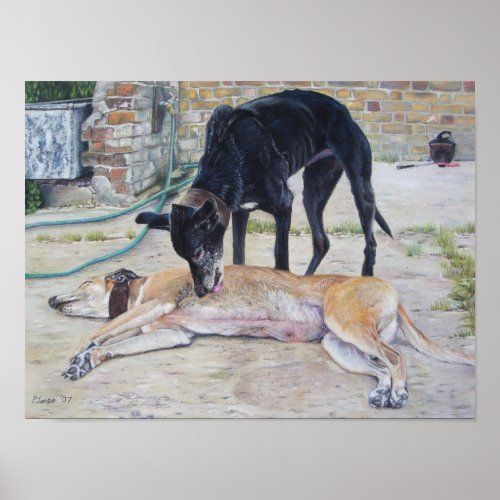 scenic art picture of grayhound dogs in a yard poster