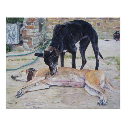 scenic art picture of grayhound dogs in a yard poster