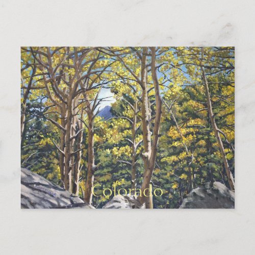 Scenic Aspen Trees in Estes National Park Postcard