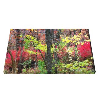Scenic Autumn Landscape Photo Wrapped Canvas