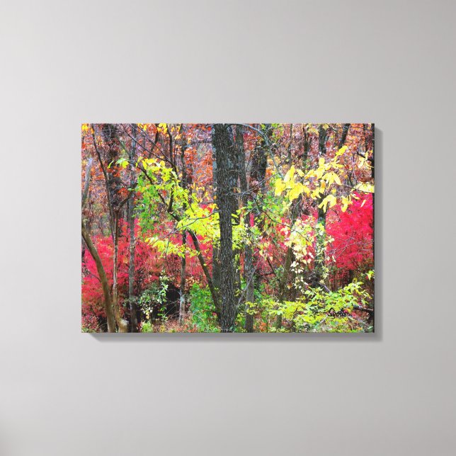Scenic Autumn Landscape Photo Wrapped Canvas (Front)