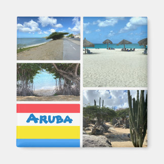 Scenic Beach and Desert Aruba Magnet