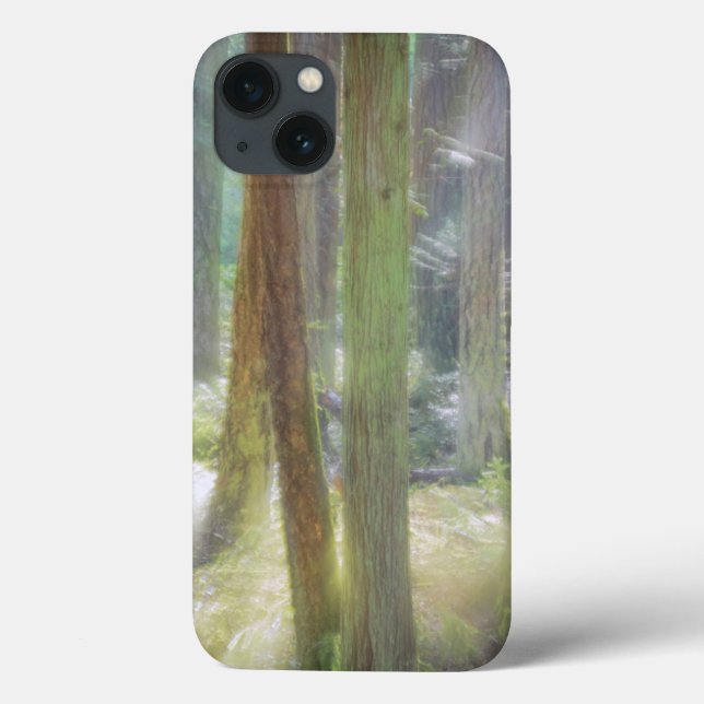 Scenic Beach State Park Case-Mate iPhone Case (Back)