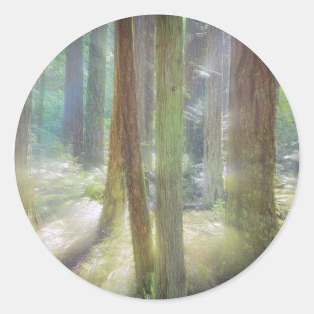 Scenic Beach State Park Classic Round Sticker (Front)