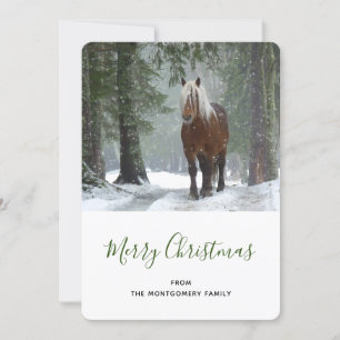 Scenic Brown Horse in a Winter Forest Christmas Holiday Card