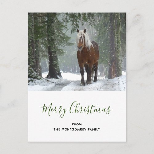 Scenic Brown Horse in a Winter Forest Christmas Holiday Postcard