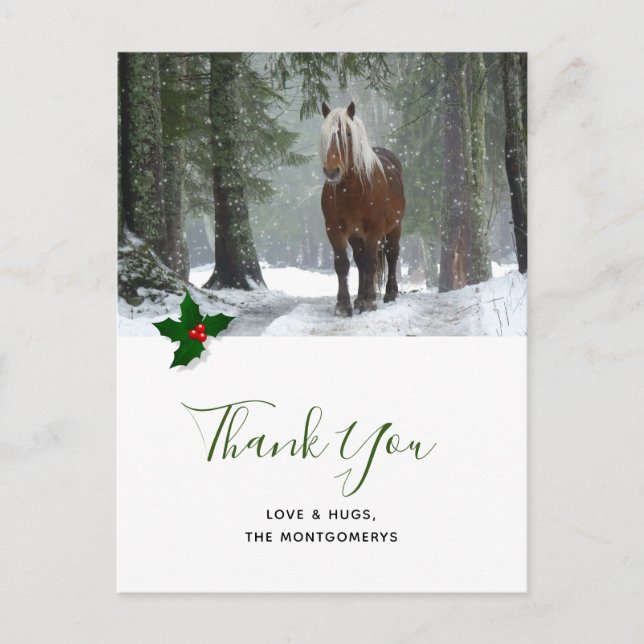 Scenic Brown Horse in Winter Christmas Thank You Postcard (Front)