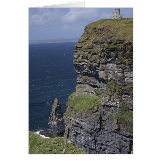 Scenic Cliffs of Moher and O'Brien's Tower Cards (Front)