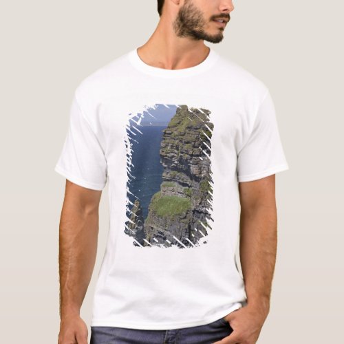 Scenic Cliffs of Moher and OBriens Tower T_Shirt