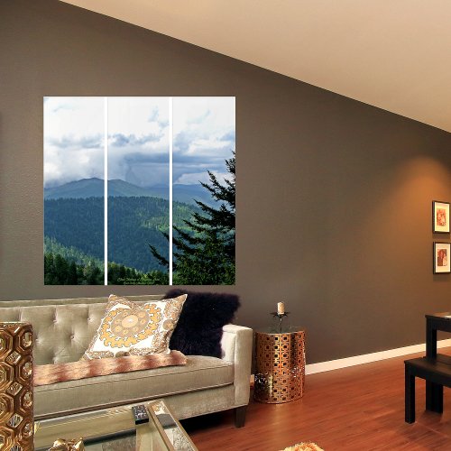 Scenic Cloud Shadows Great Smoky Mountains  Triptych