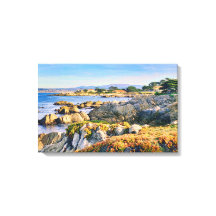 Scenic Coast in Pacific Grove California