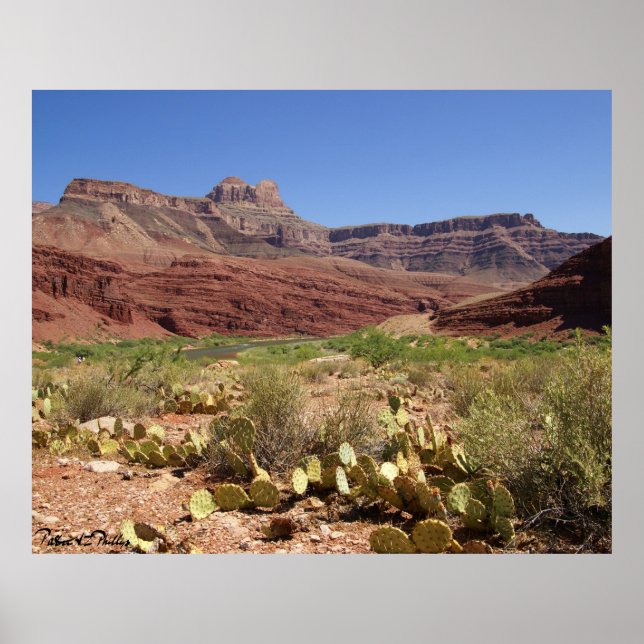 Scenic Colorado River at Grand Canyon Photograph Poster (Front)