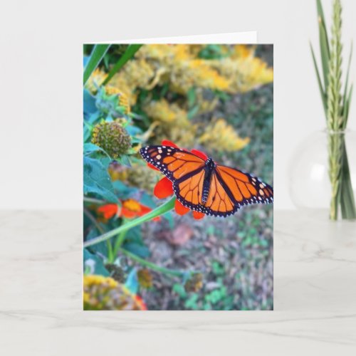 Scenic Colorful Floral and Butterfly Card