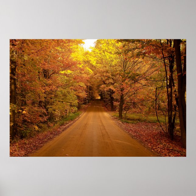 Scenic Drive Poster (Front)