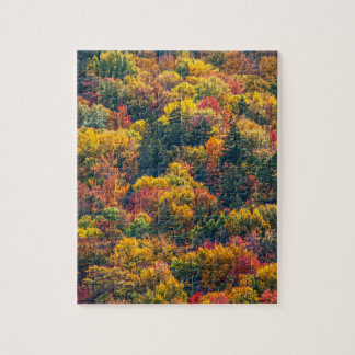 Scenic Fall Leaves Autumn Scenery Photo Jigsaw Puzzle