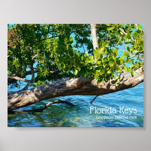 Scenic Florida Keys Everglades National Park Poster