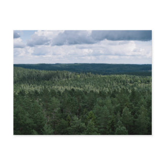 Scenic Green Forest Landscape Canopy Photo Postcard
