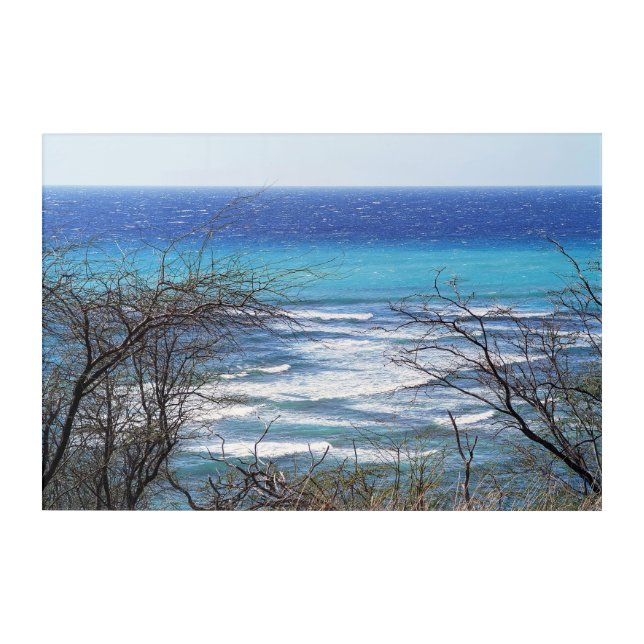 Scenic Hawaii Ocean View Acrylic Wall Art 30 x 20 (Front)