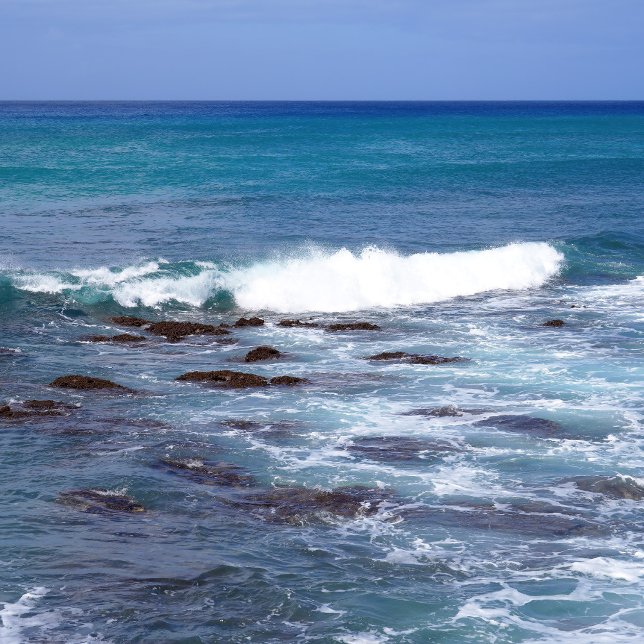 Scenic Hawaii Ocean View Metal Wall Art 30 x 20 (Creator Uploaded)