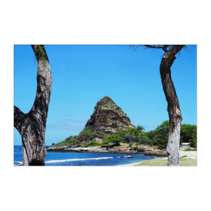 Scenic Hawaiian Coast Acrylic Wall Art 36 x 24