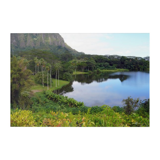 Scenic Hawaiian View Acrylic Wall Art 30 x 20 (Front)
