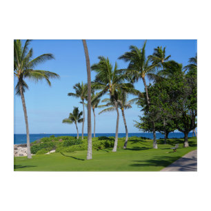 Scenic Honolulu Hawaii Acrylic Wall Art 14 x 10