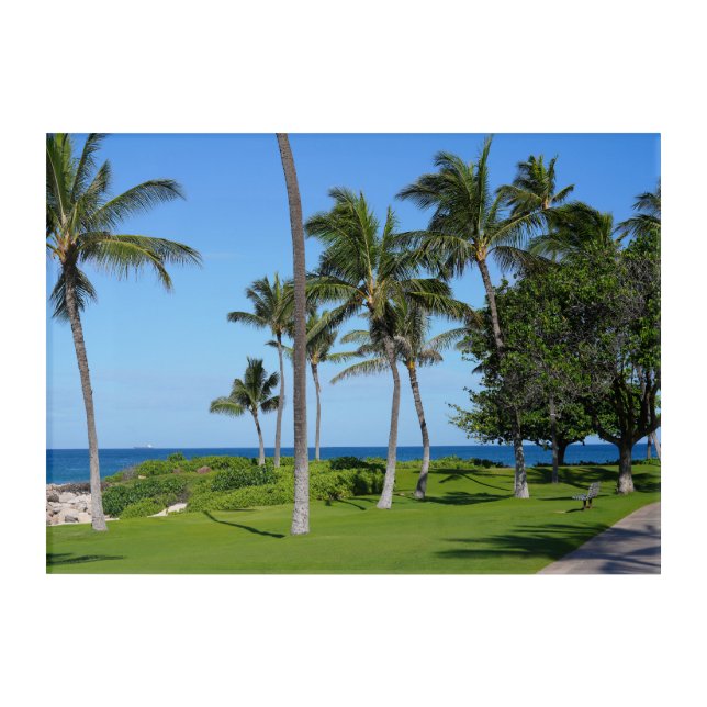 Scenic Honolulu Hawaii Acrylic Wall Art 14 x 10 (Front)