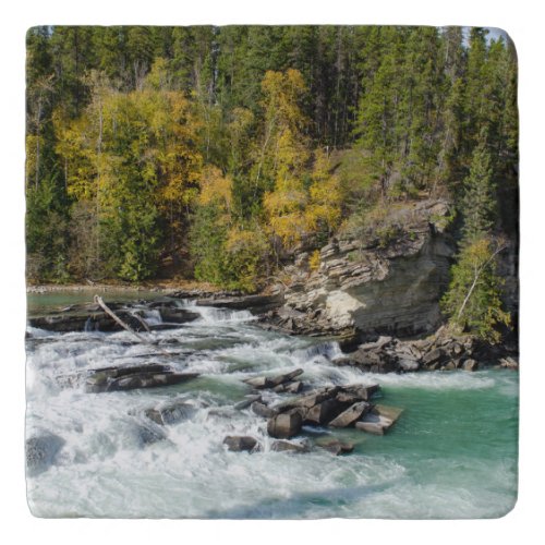 Scenic Landscape Canadian Fraser River Trivet