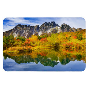 Scenic Landscape Forest and Mountains Magnet
