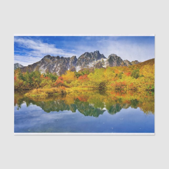 Scenic Landscape Forest and Mountains Tissue Paper (Front)