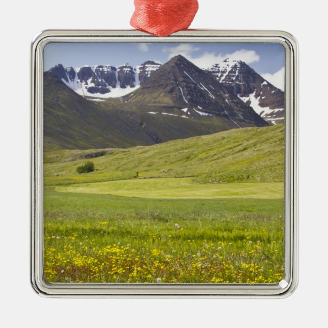 Scenic landscape of Svarfadardalur valley Metal Ornament (Front)