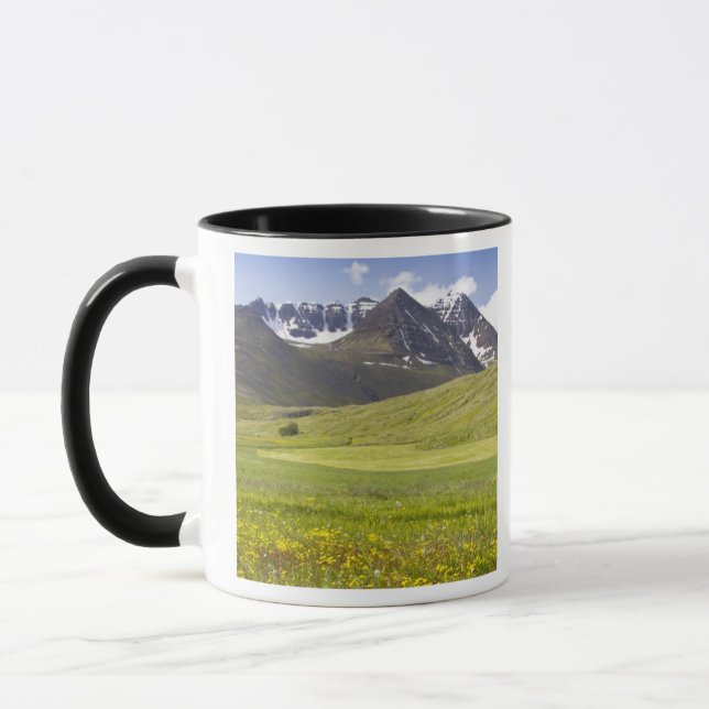 Scenic landscape of Svarfadardalur valley Mug (Left)