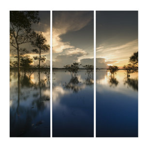 Scenic Landscape Triptych Wall Art