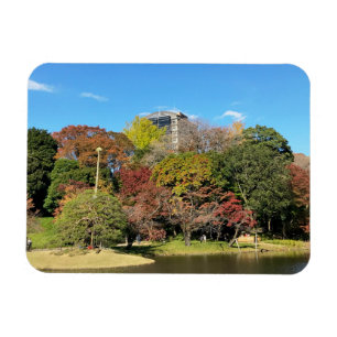 Scenic Landscape with Autumn Color Magnet