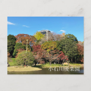 Scenic Landscape with Autumn Color Postcard