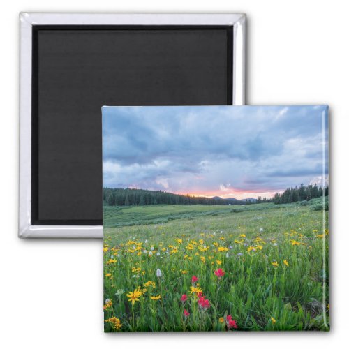 Scenic landscape with colorful wildflowers magnet