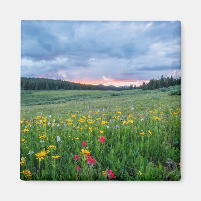 Scenic landscape with colorful wildflowers magnet (Front)