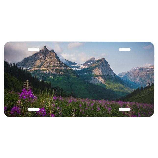 Scenic Lupine Meadow Mountain Majesty License Plate (Front)