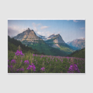 Scenic Lupine Meadow Mountain Majesty Tissue Paper